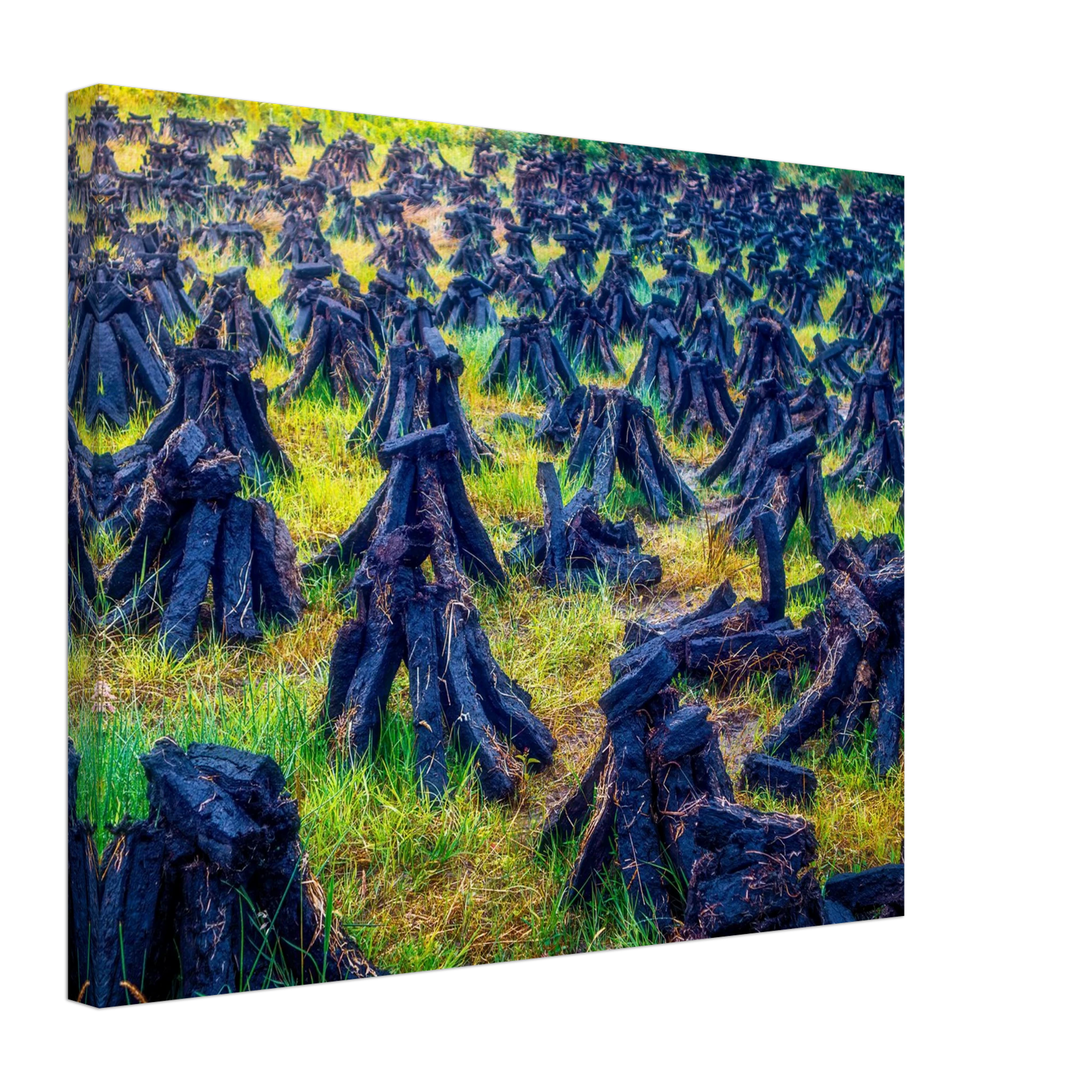 7f2bc1e6-c19d-4d8c-bd49-5785927371c0