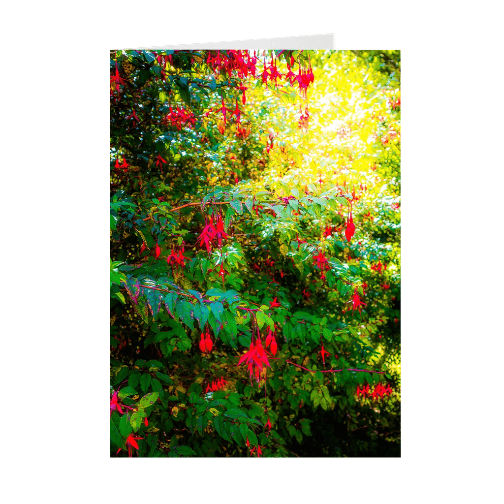 Irish Wildflowers Note Card Bundle (10 Cards)