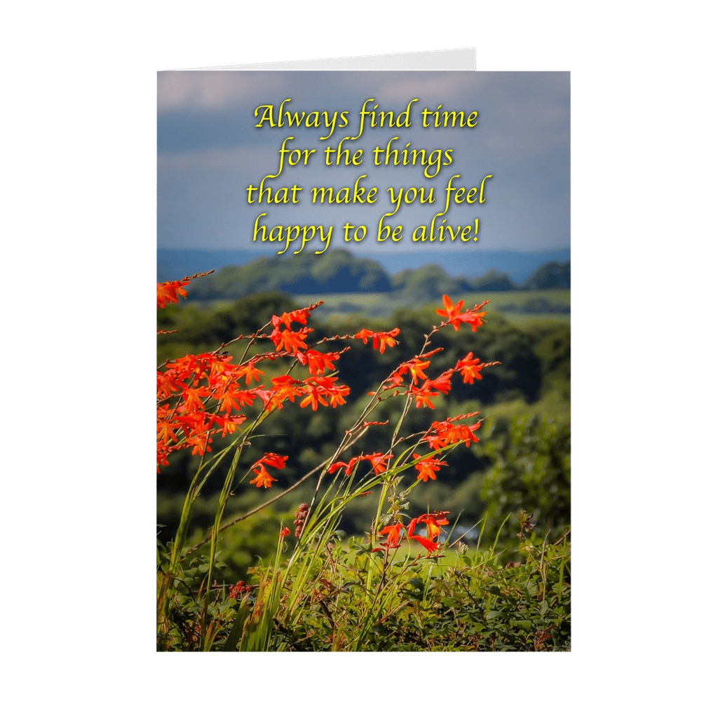 Irish Blessings & Proverbs Note Card Bundle (10 cards)