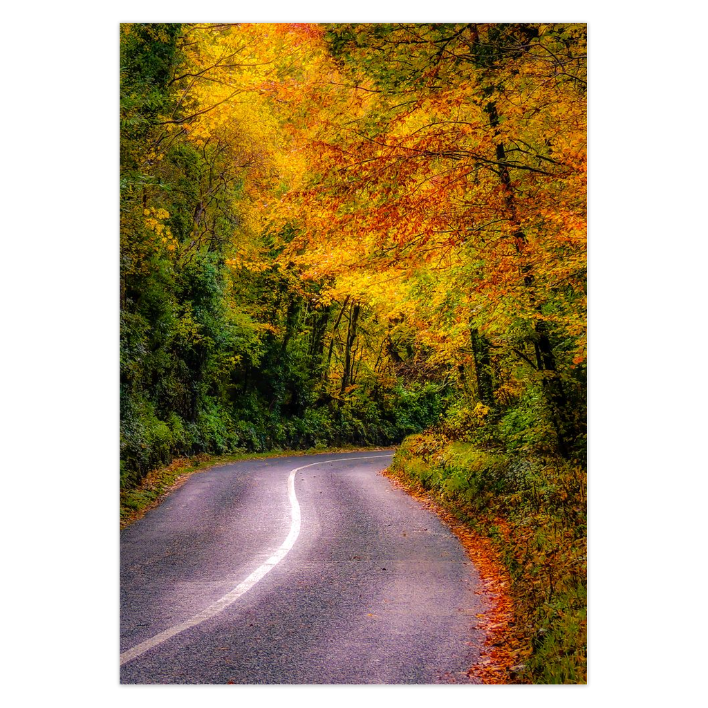 Folded Note Card - Rural Irish Road under Autumn Canopy, County Clare