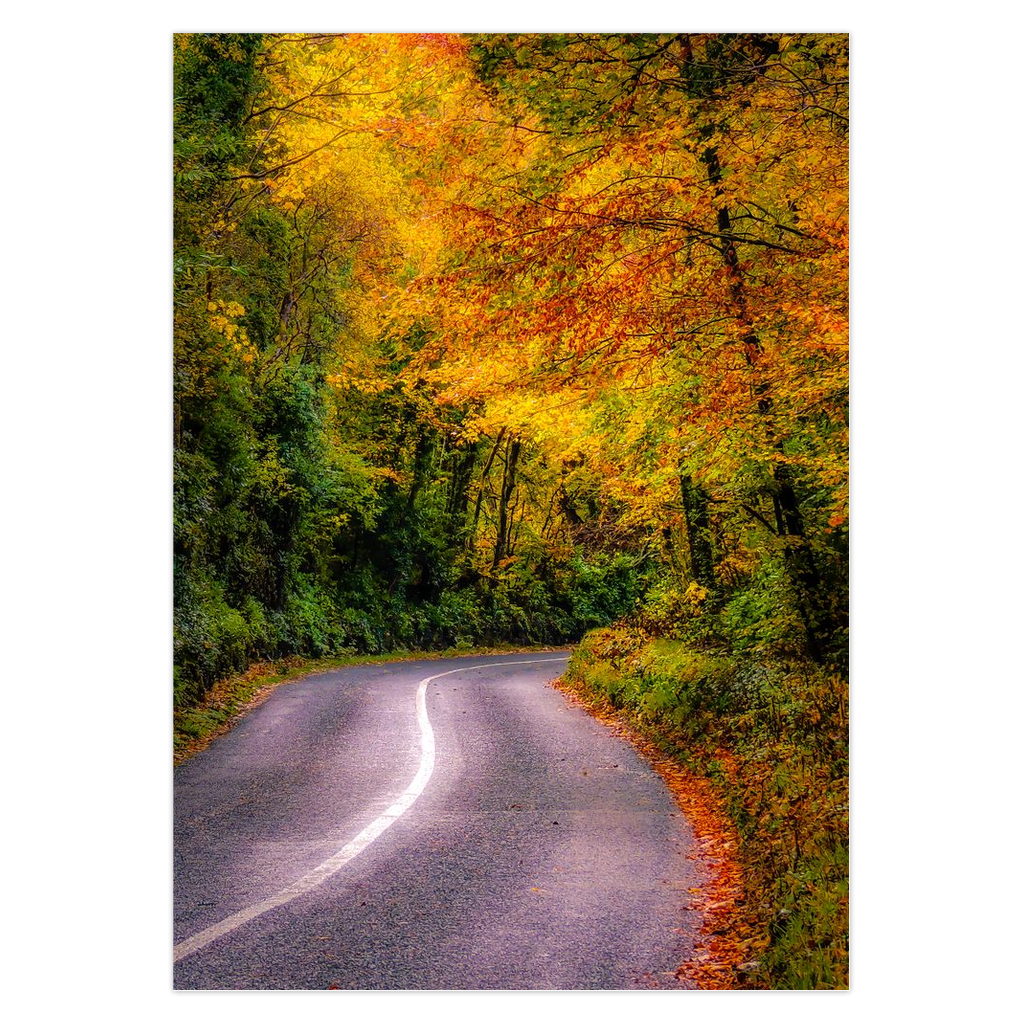 Magical Irish Autumn Note Card Bundle (10 cards)