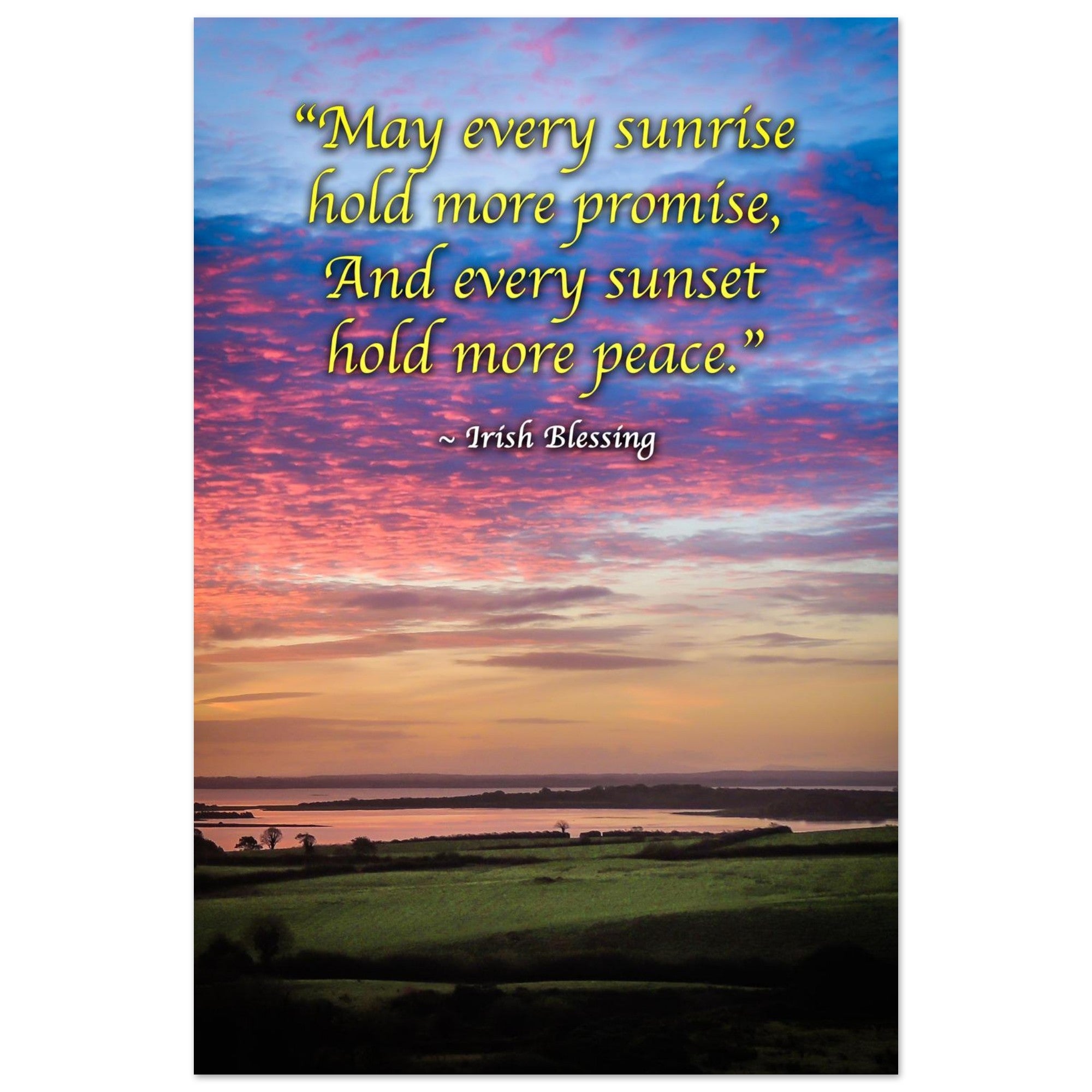 8f1df6e6-ad58-4d19-857e-a28603102c00