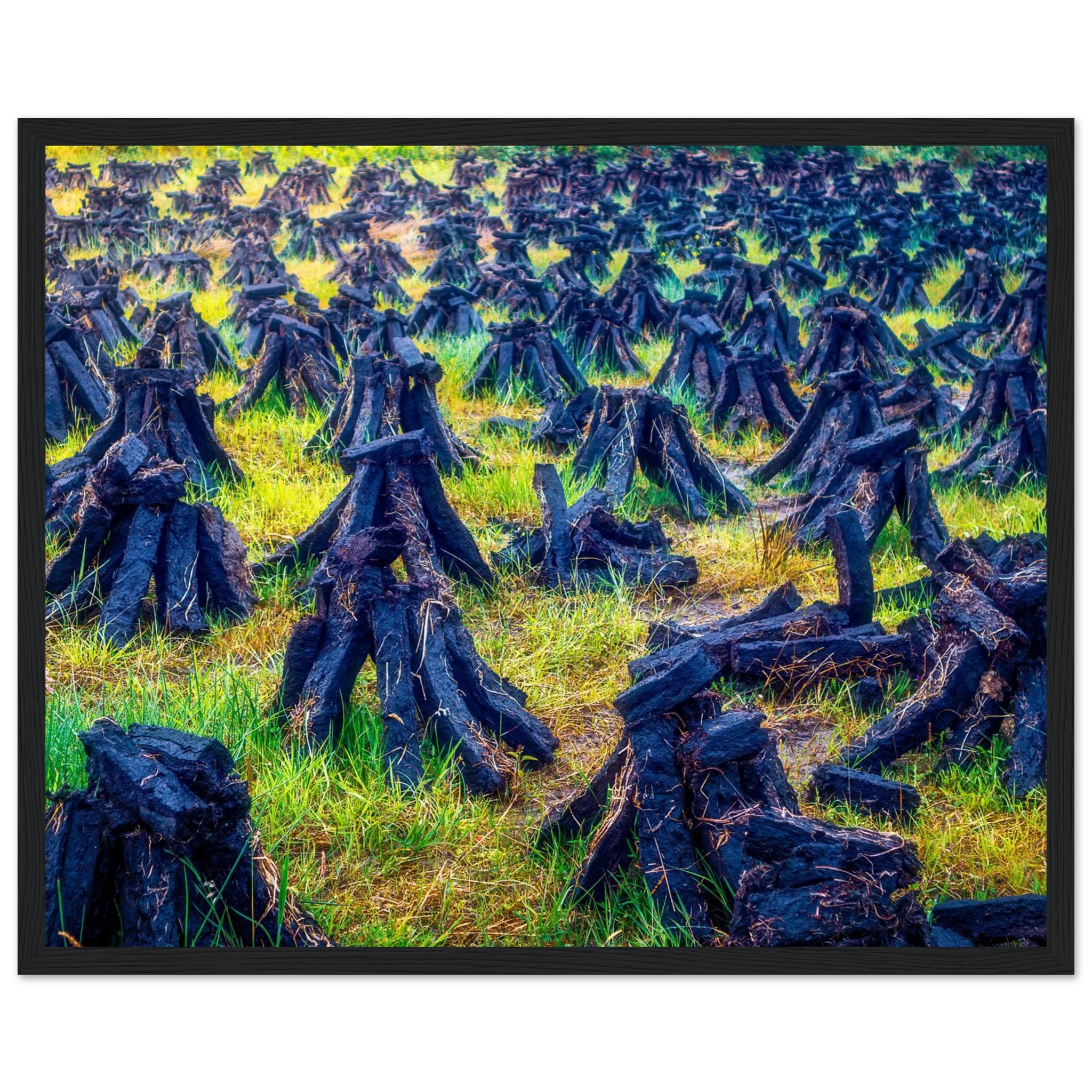 96596784-9e80-4b4f-a9ac-cedb598f7a15