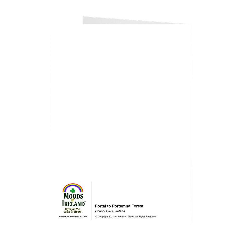 Irish Doorways & Windows Note Card Bundle (10 Cards)