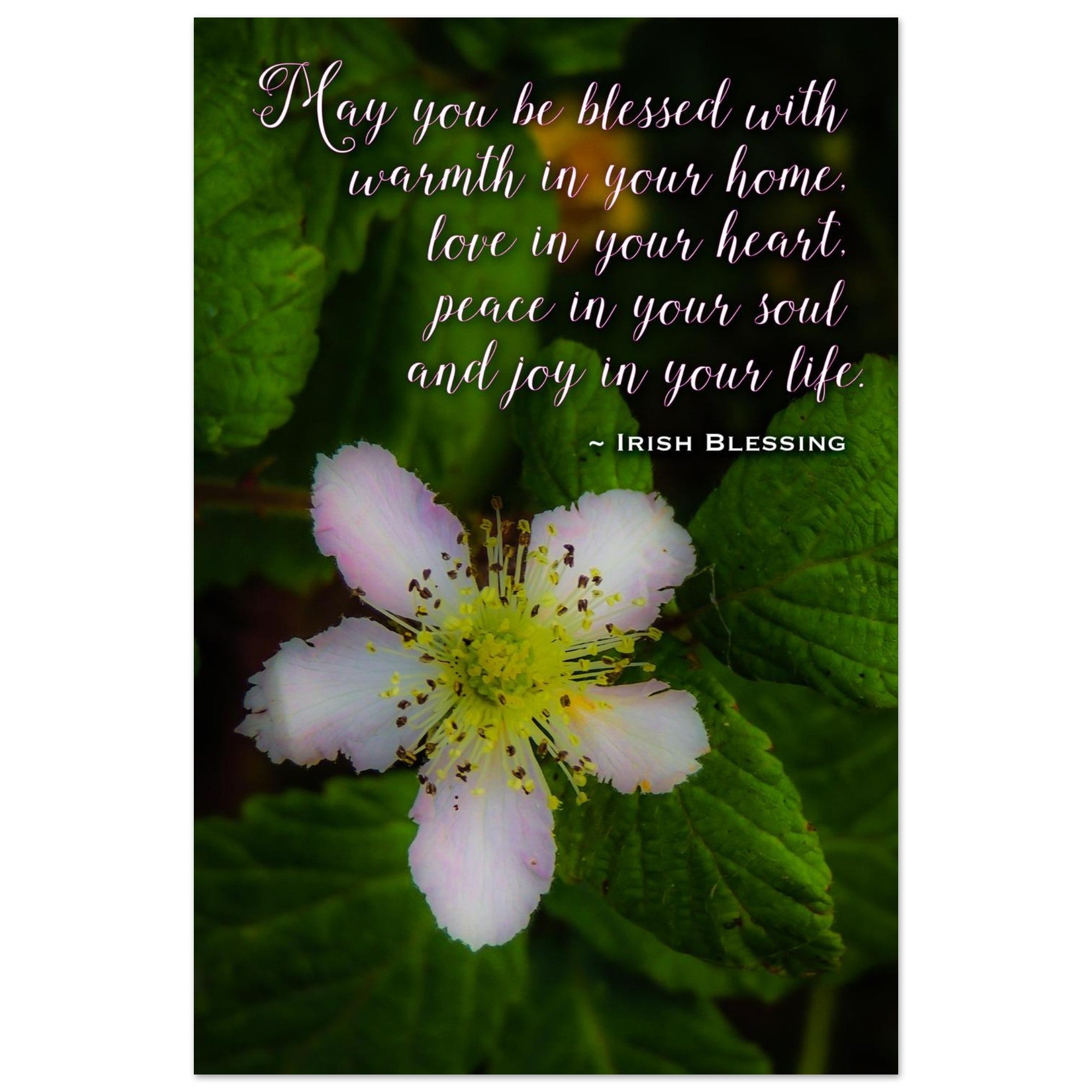 9f2d9787-7e73-4a0f-b1b6-c53acfb0604f