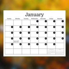 2025 Irish Blessings & Proverbs Wall Calendar