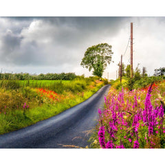 Print - Wildflowers of Lacknashannagh, County Clare