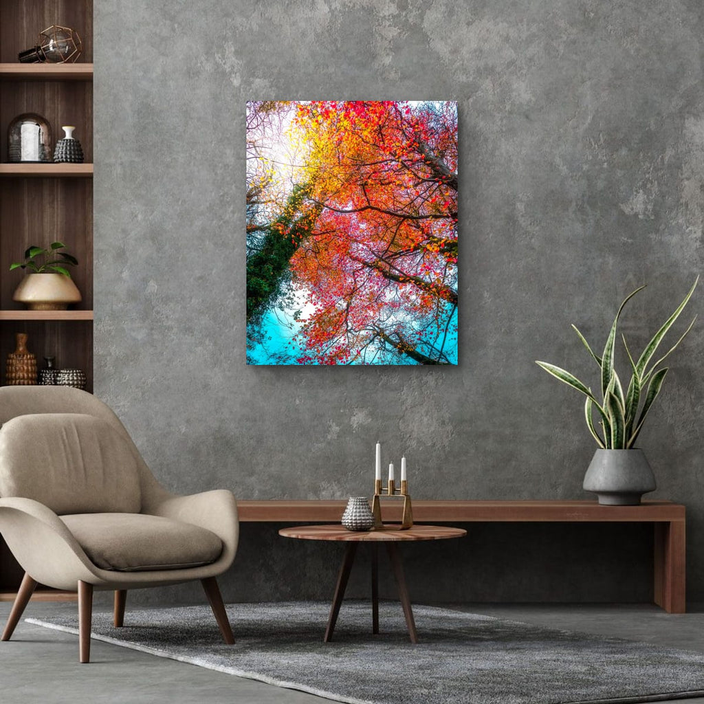 Autumn Tree Tops (Limited Edition)