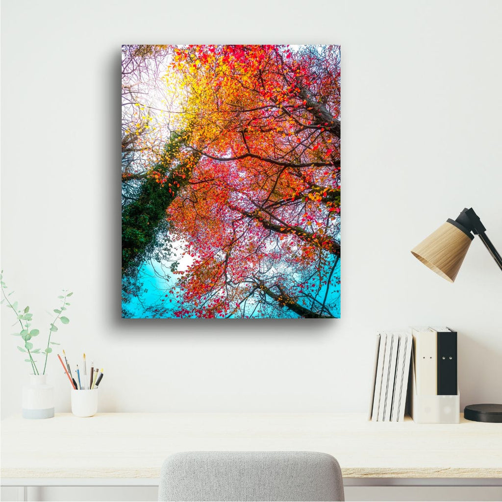 Autumn Tree Tops (Limited Edition)