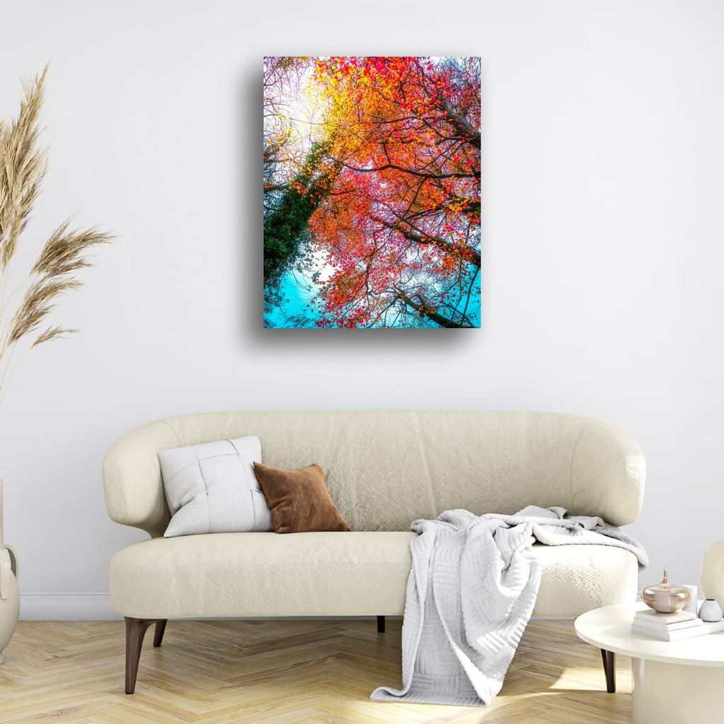 Autumn Tree Tops (Limited Edition)