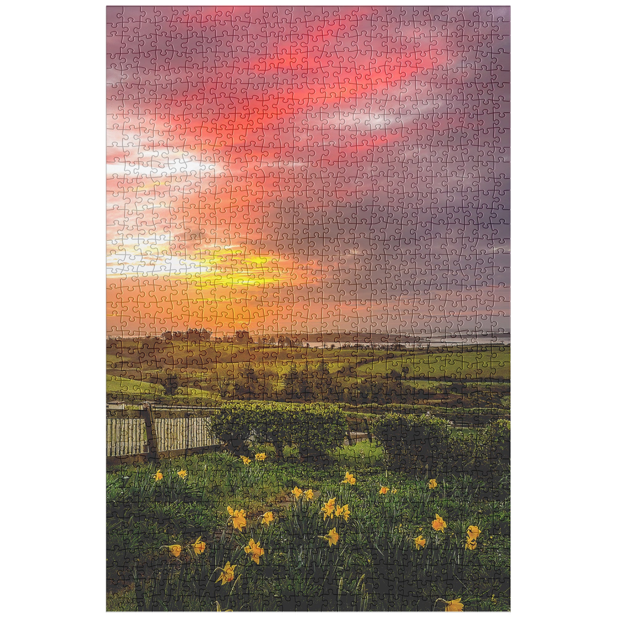 Puzzle - 2017 Spring Sunrise over Shannon Estuary