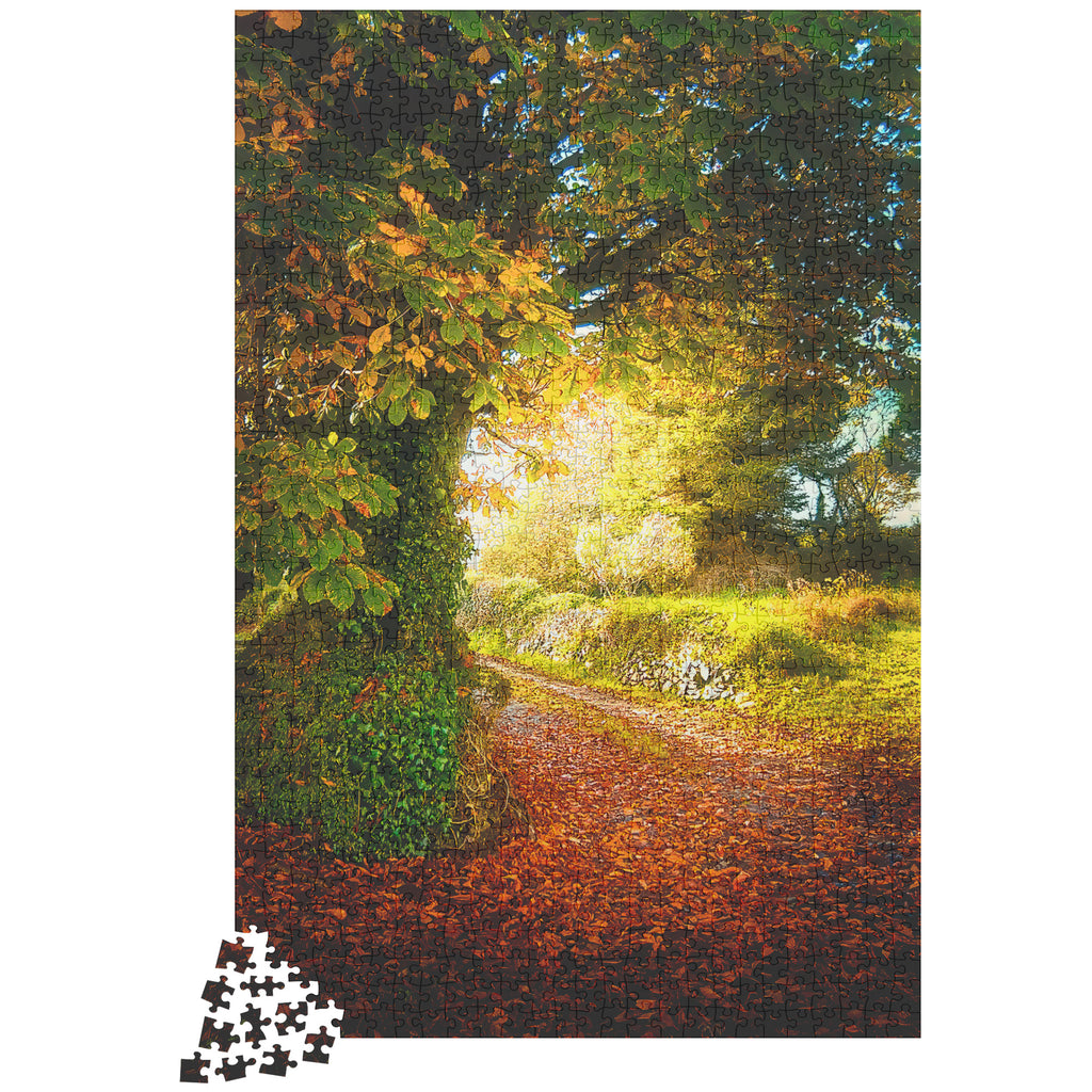 Puzzle - Big Tree at Cullinan Cottage, County Clare