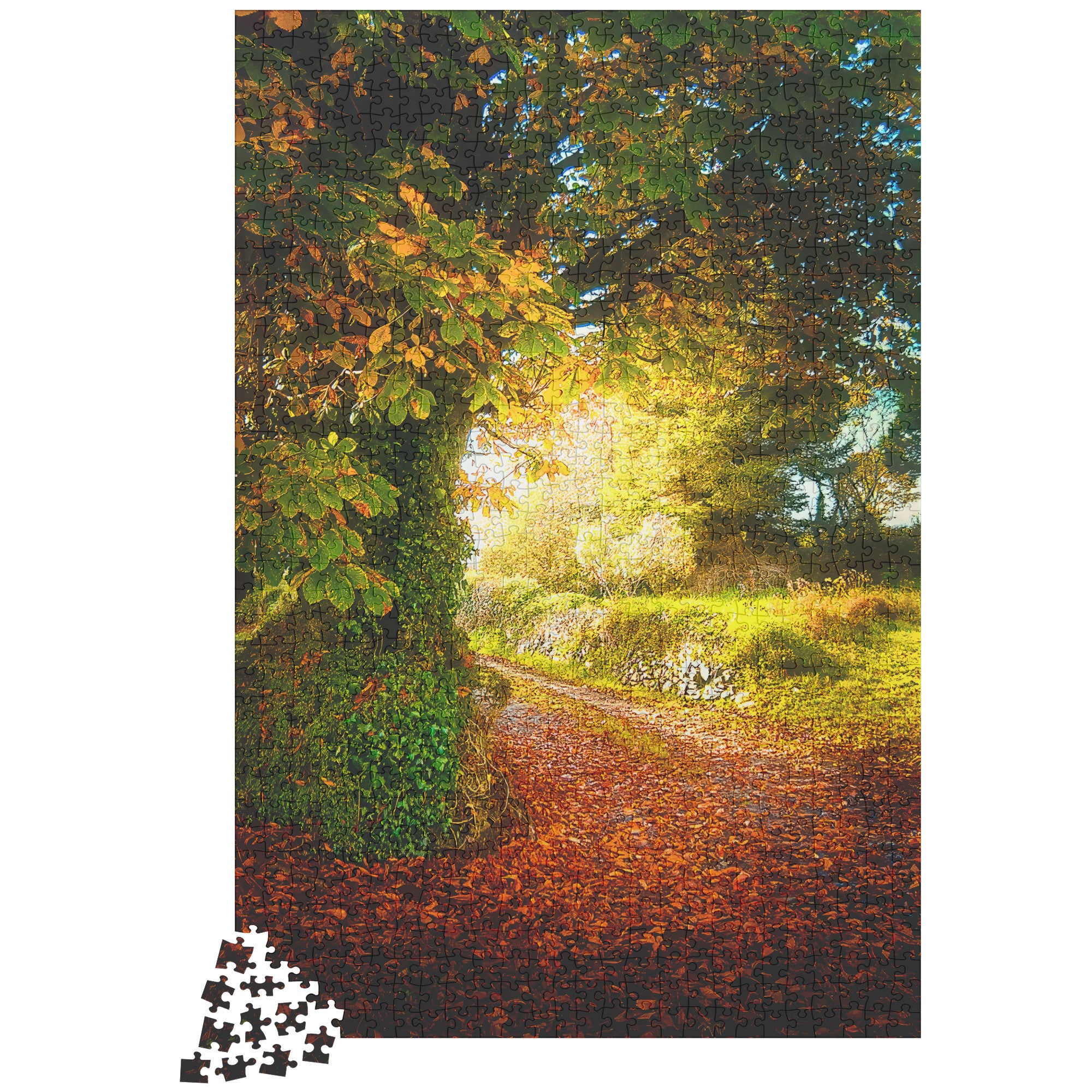 Puzzle - Big Tree at Cullinan Cottage, County Clare