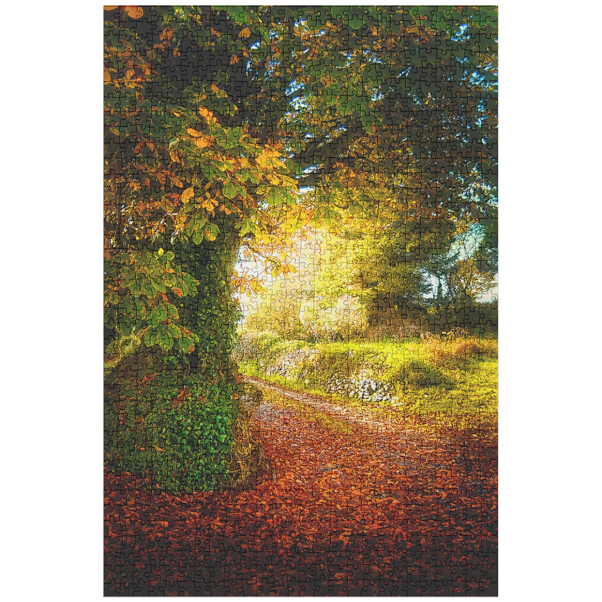 Puzzle - Big Tree at Cullinan Cottage, County Clare