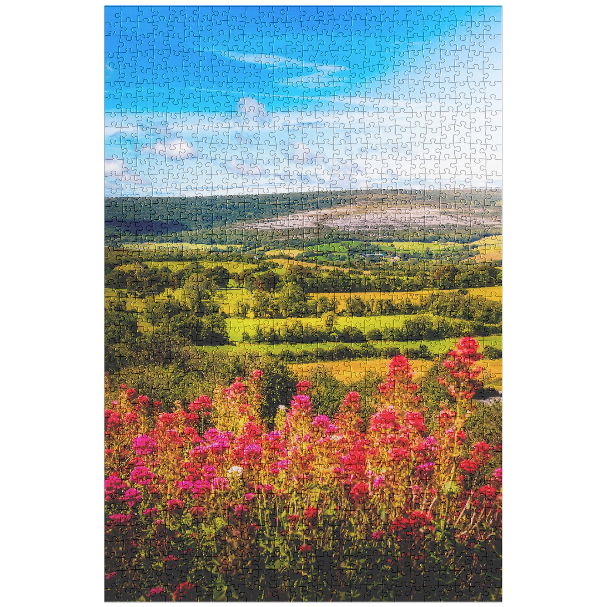 Puzzle - Burren Vista from Ailwee Cave, County Clare