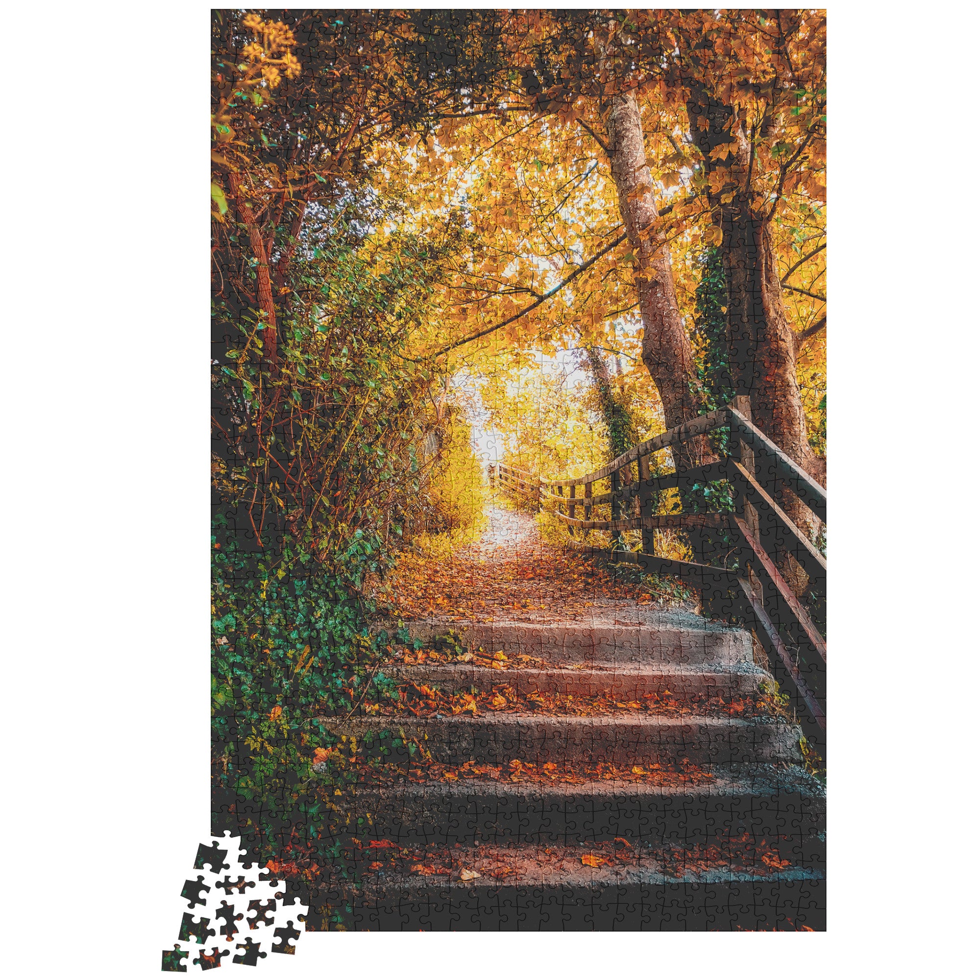 Puzzle - Ennistymon Cascade Path in Autumn