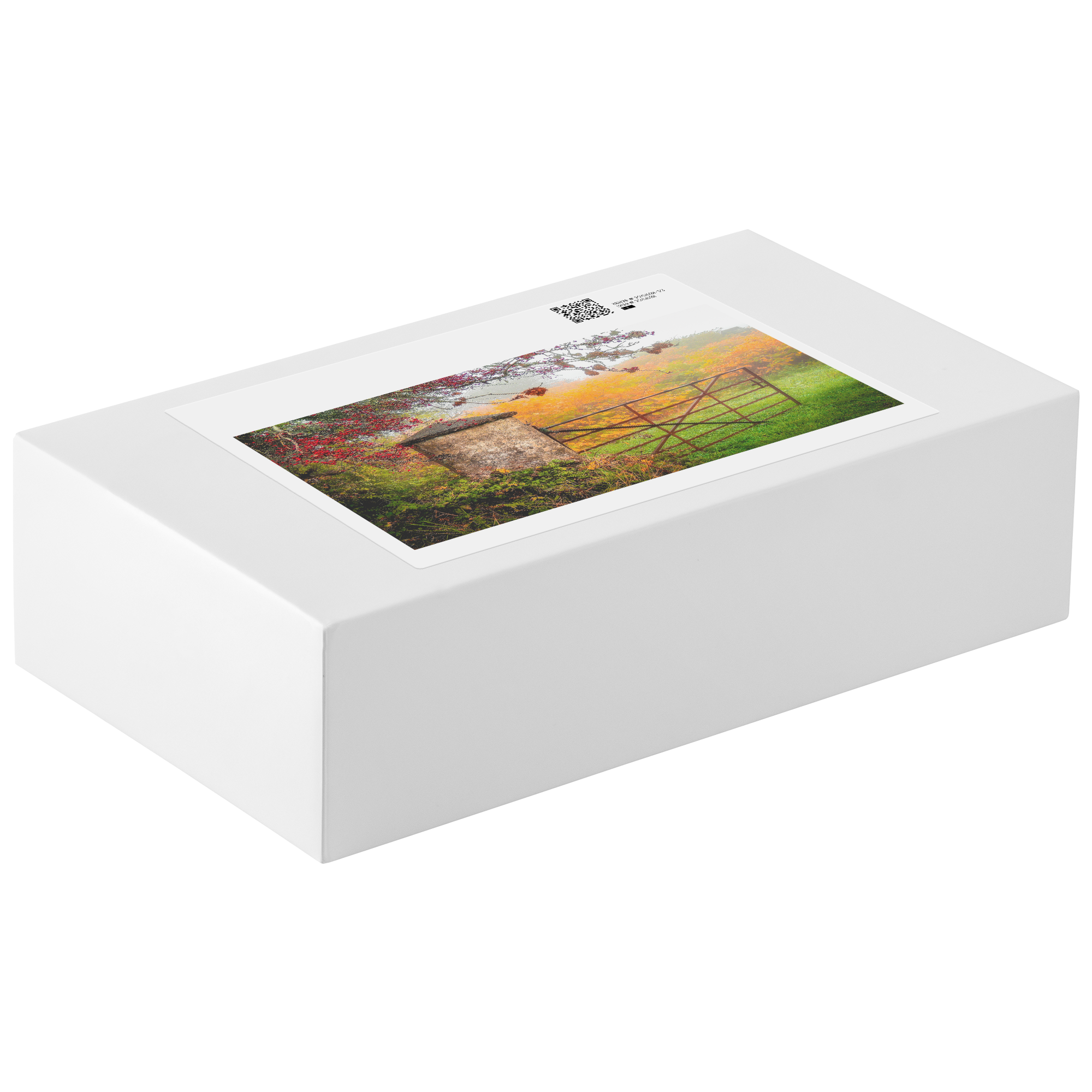 Puzzle_-_Gate_to_Misty_Irish_Autumn_1014pc_H_Packaging_Mockup.png