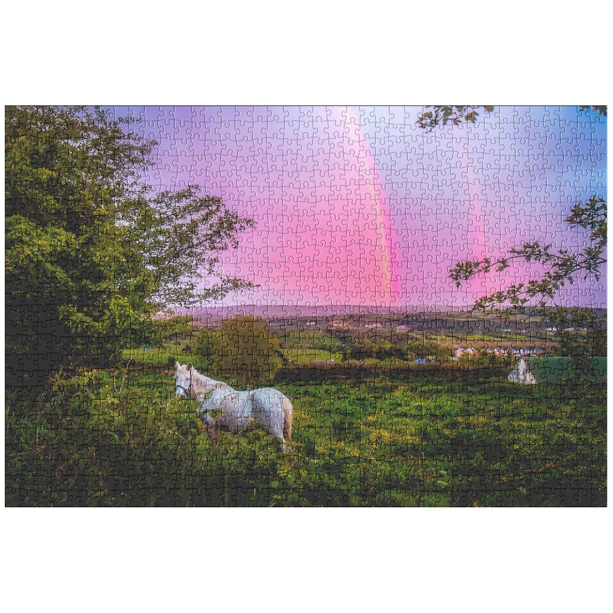 Puzzle - Monochrome Irish Rainbow at Sunset