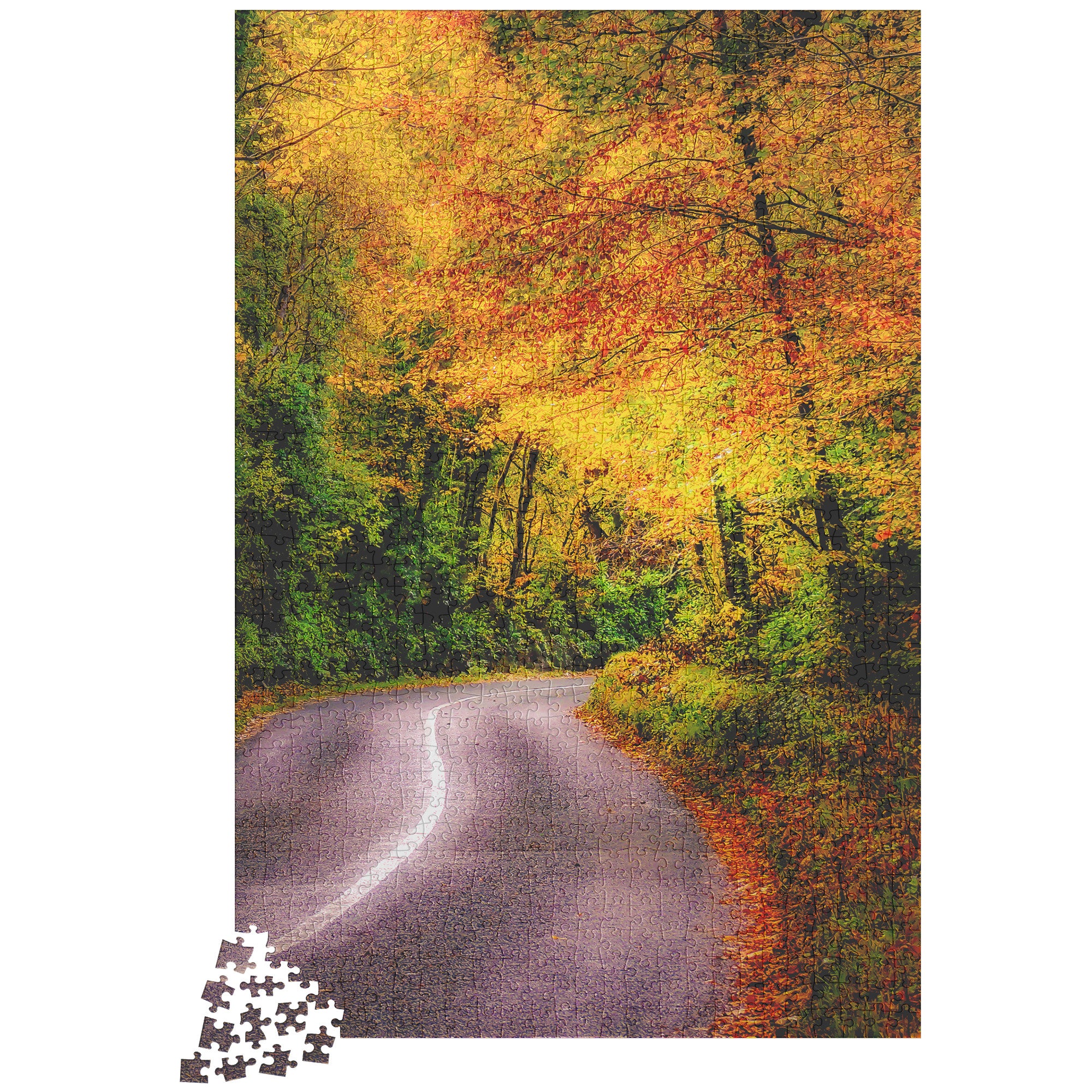 Puzzle - Rural Irish Road under Autumn Canopy