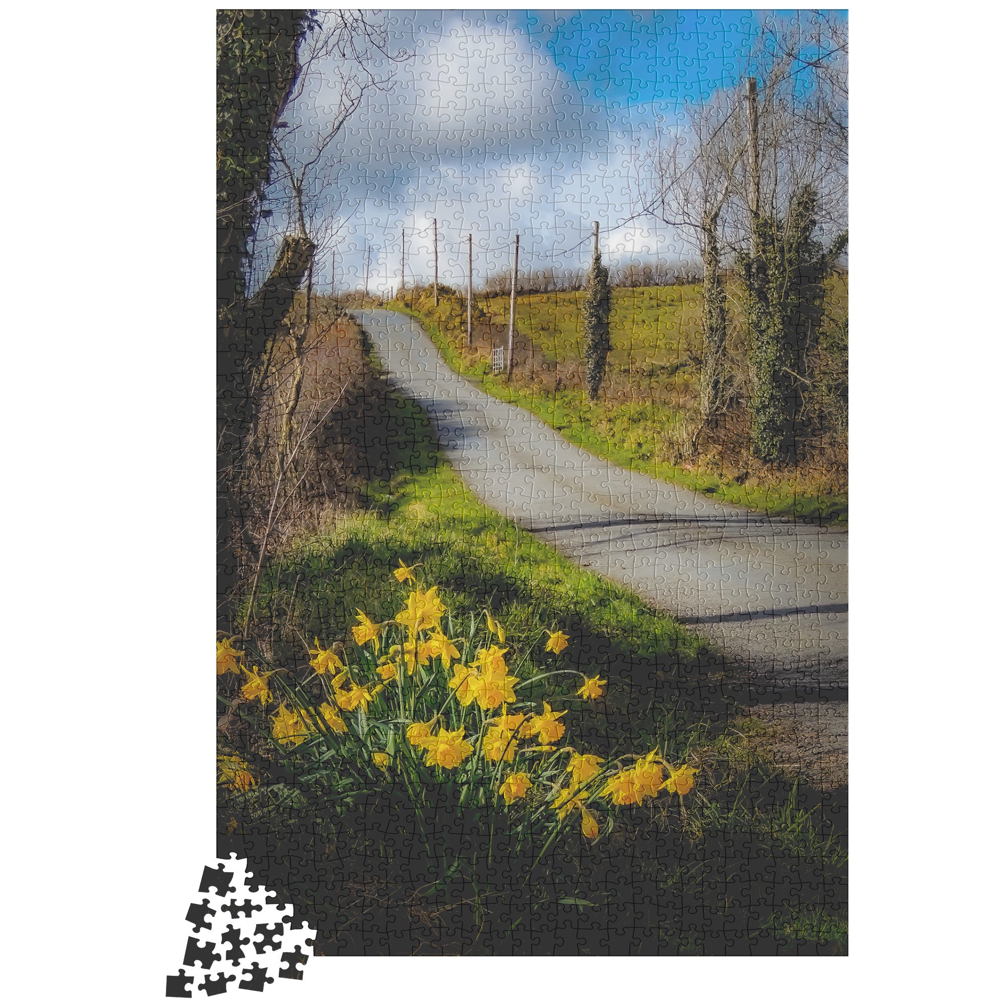 Puzzle - Spring Daffodils under Blue Sky, County Clare