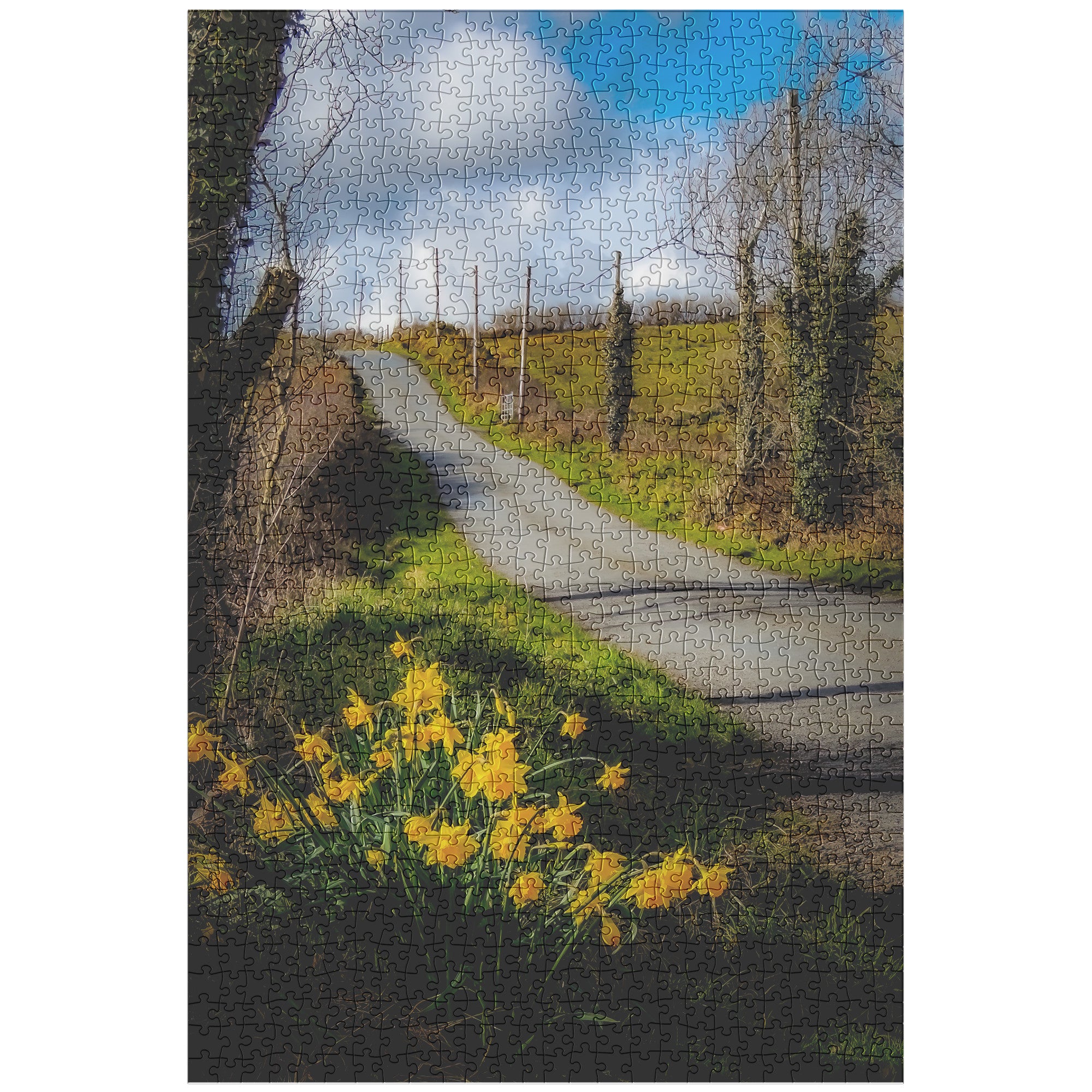 Puzzle - Spring Daffodils under Blue Sky, County Clare