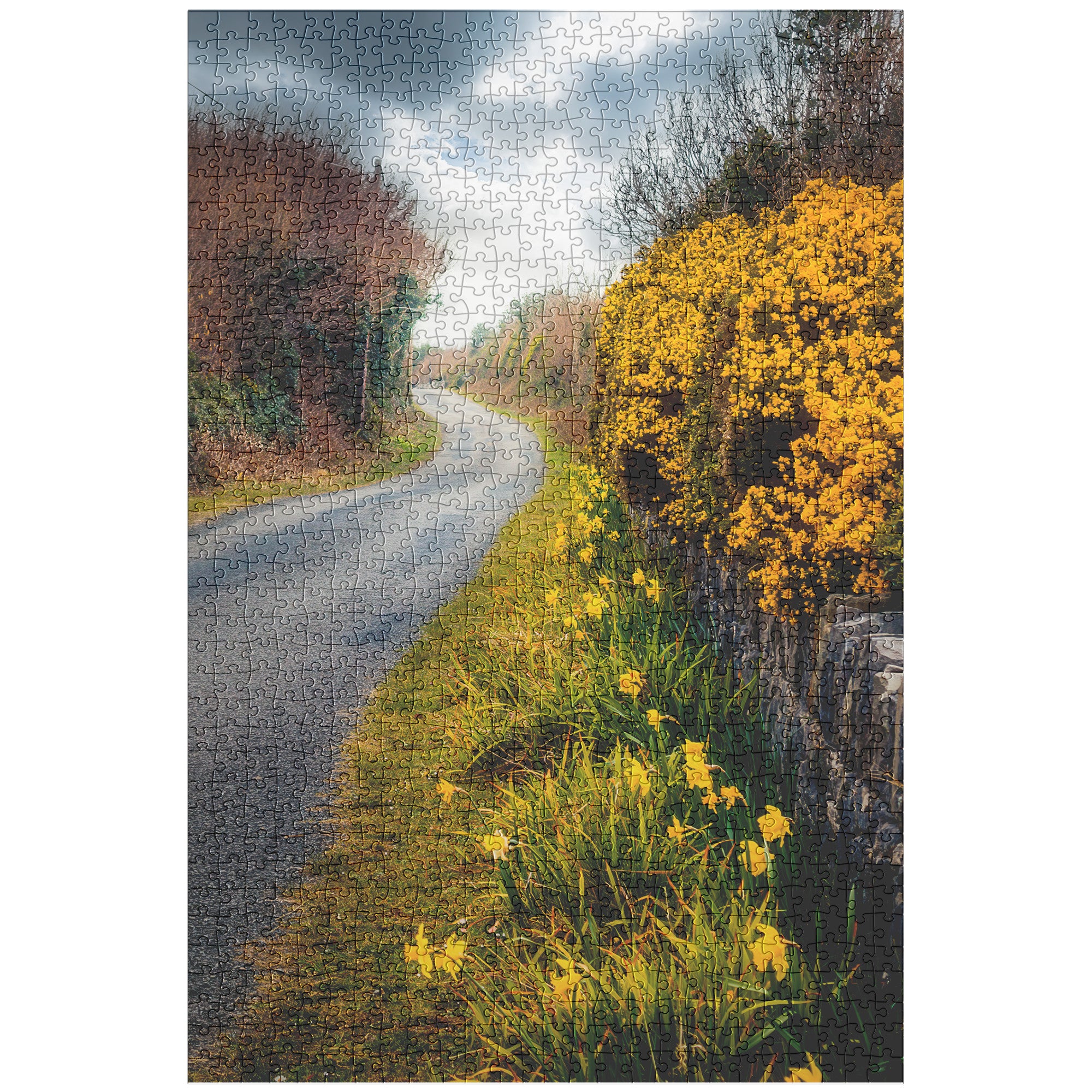 Puzzle - Spring Irish Country Road, County Clare
