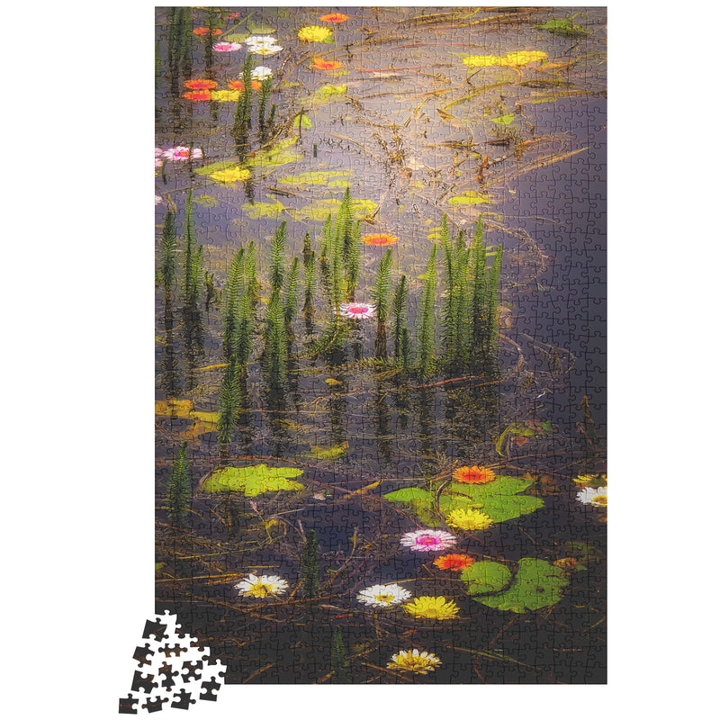 Puzzle - Water Flowers at Markree Castle, County Sligo