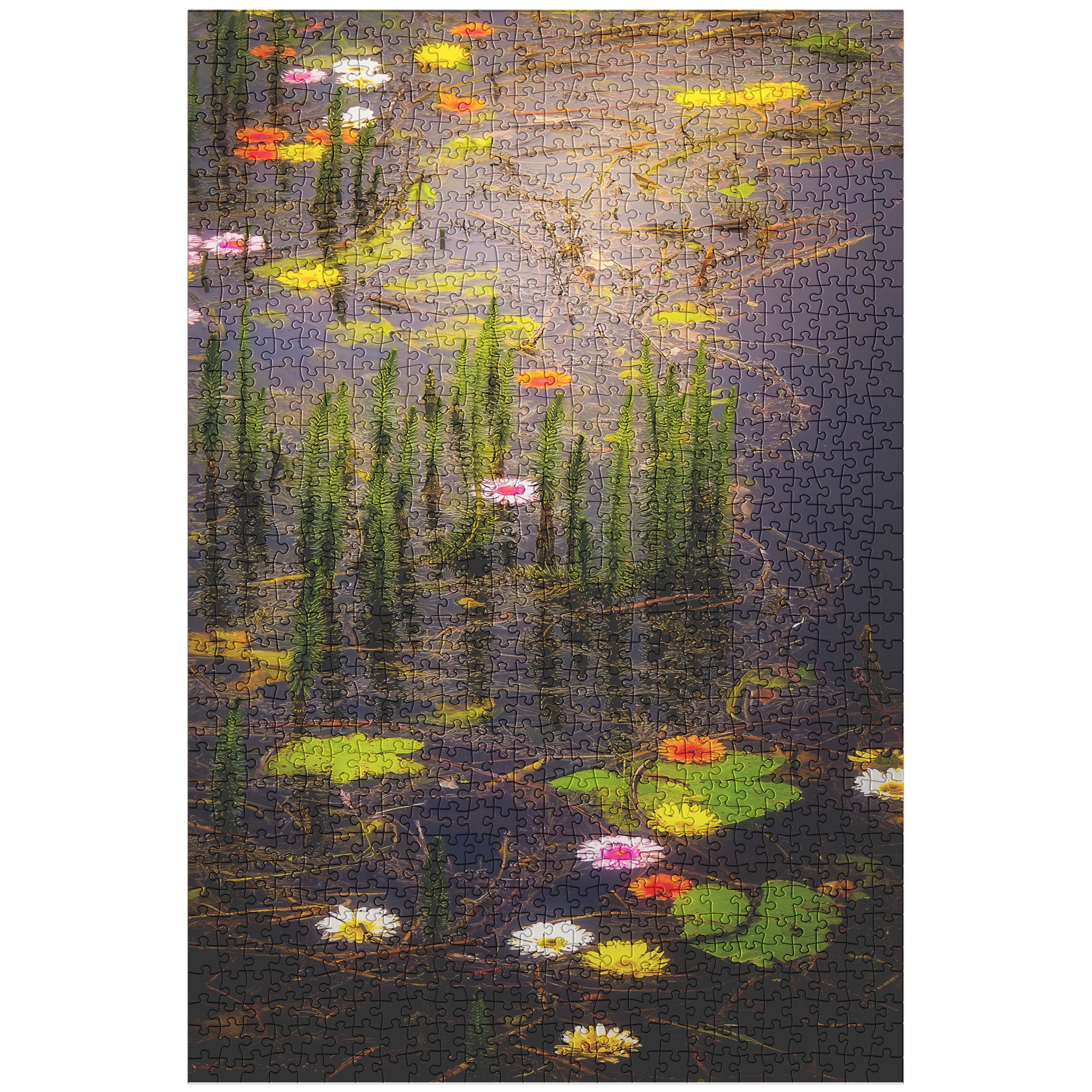 Puzzle - Water Flowers at Markree Castle, County Sligo
