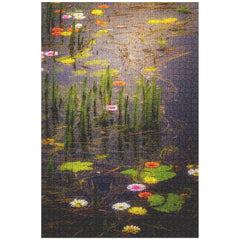 Puzzle - Water Flowers at Markree Castle, County Sligo