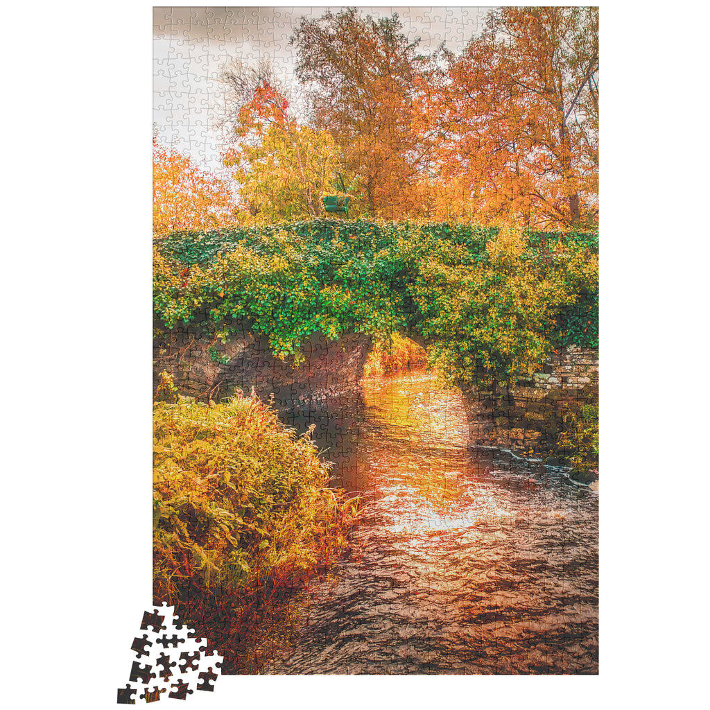 Puzzle -  Bridge over Cloon River at Cranny, County Clare