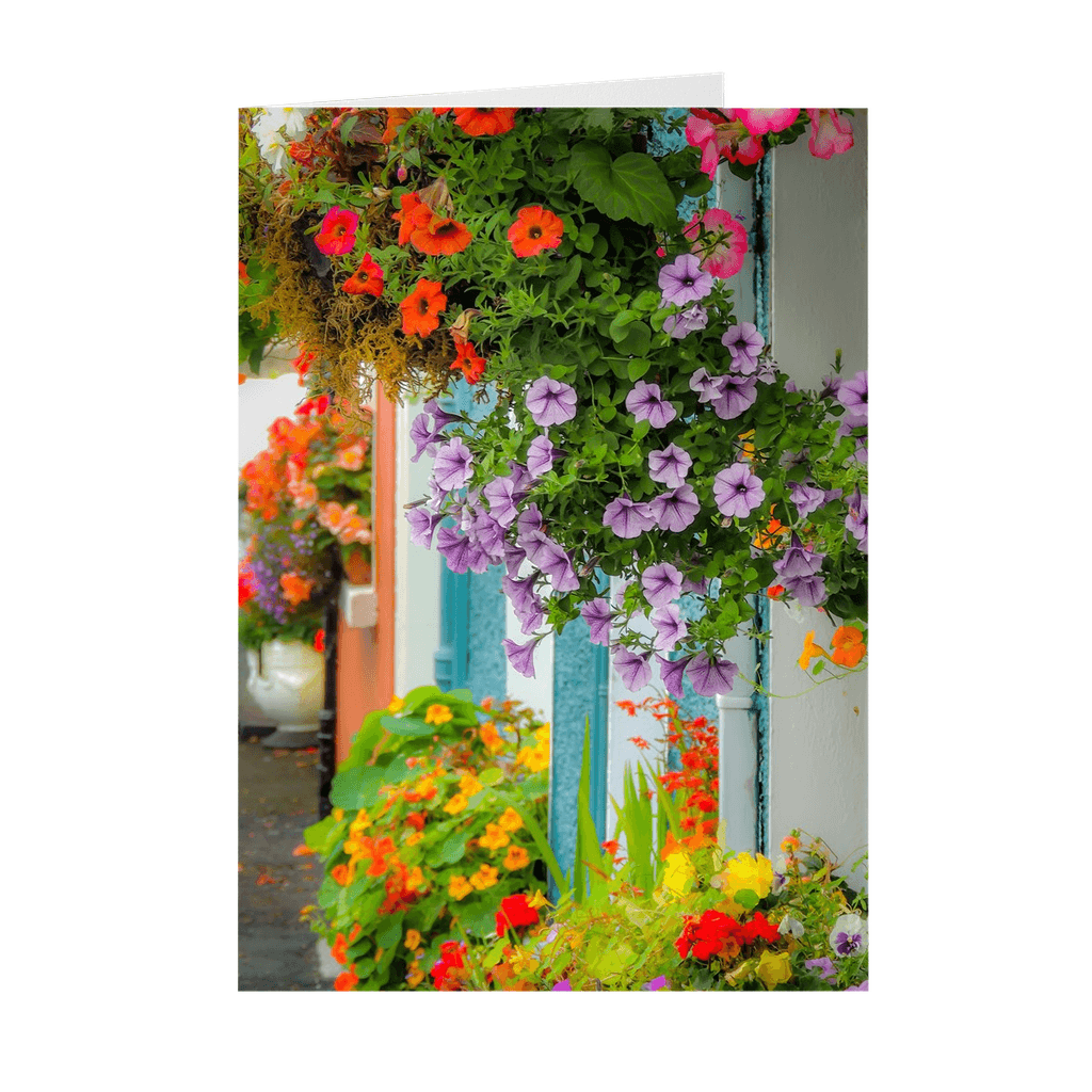 Hanging Baskets & Window Boxes Card Bundle (10 Cards)