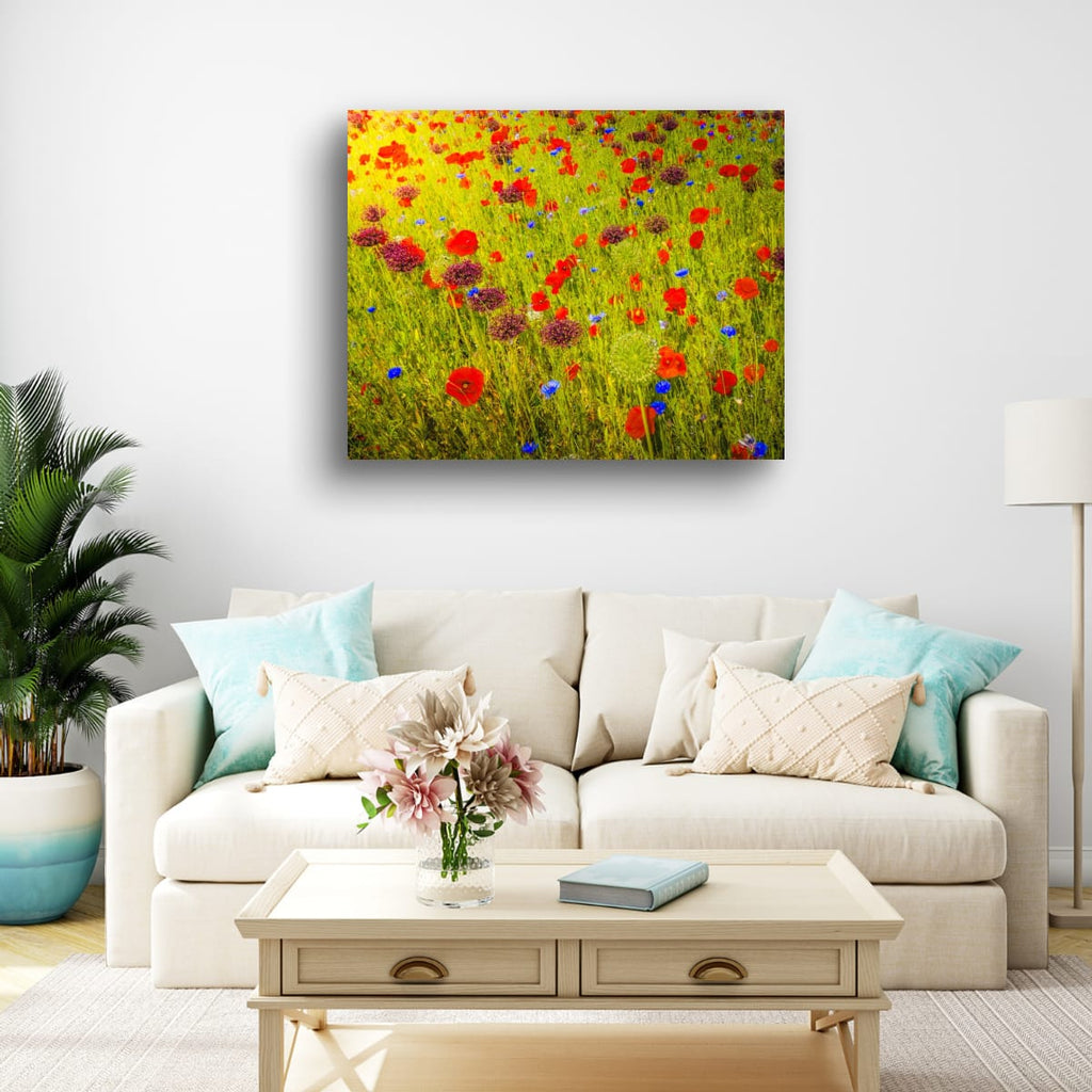 Poppies and Wildflower Meadow (Limited Edition)