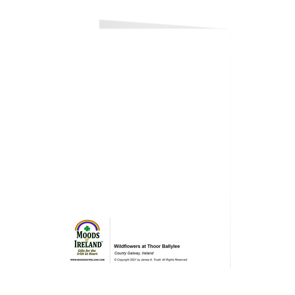 Irish Wildflowers Note Card Bundle (10 Cards)