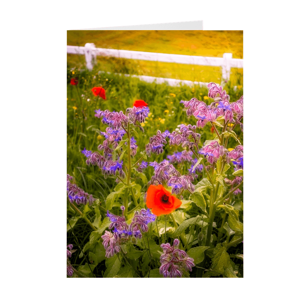 Irish Wildflowers Note Card Bundle (10 Cards)