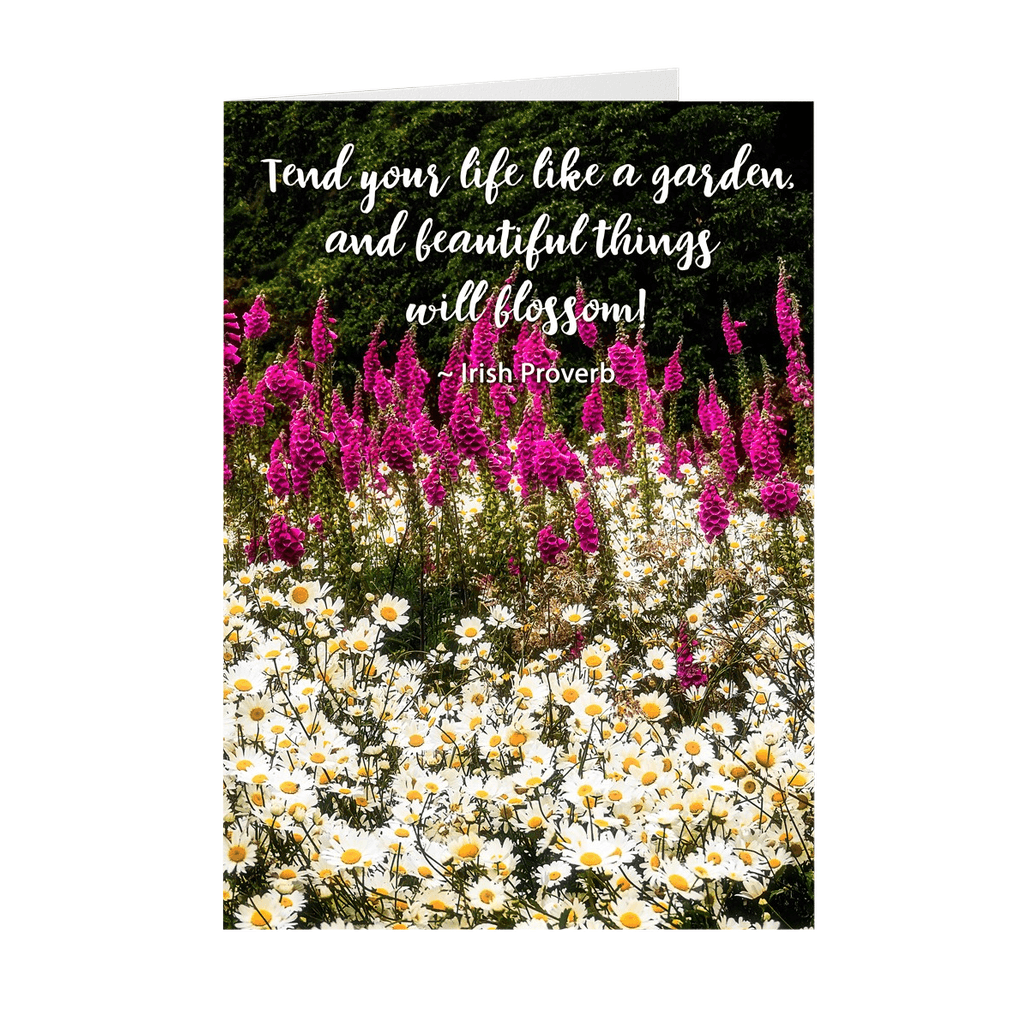 Irish Blessings & Proverbs Note Card Bundle (10 cards)