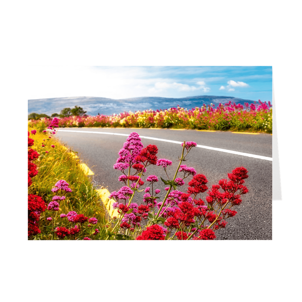 Irish Wildflowers Note Card Bundle (10 Cards)