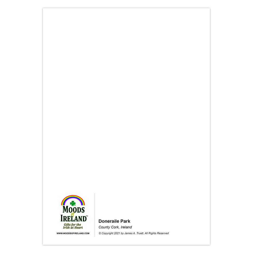 Irish Landscapes Note Card Bundle (10 cards)