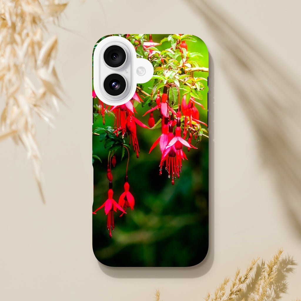 dfbca39b-b30d-4f17-b0f1-a1b1637b0555