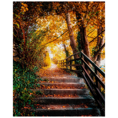 Print - Autumn Path at Ennistymon Cascades, County Clare