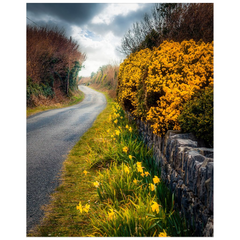 Print - Spring Irish Country Road, County Clare