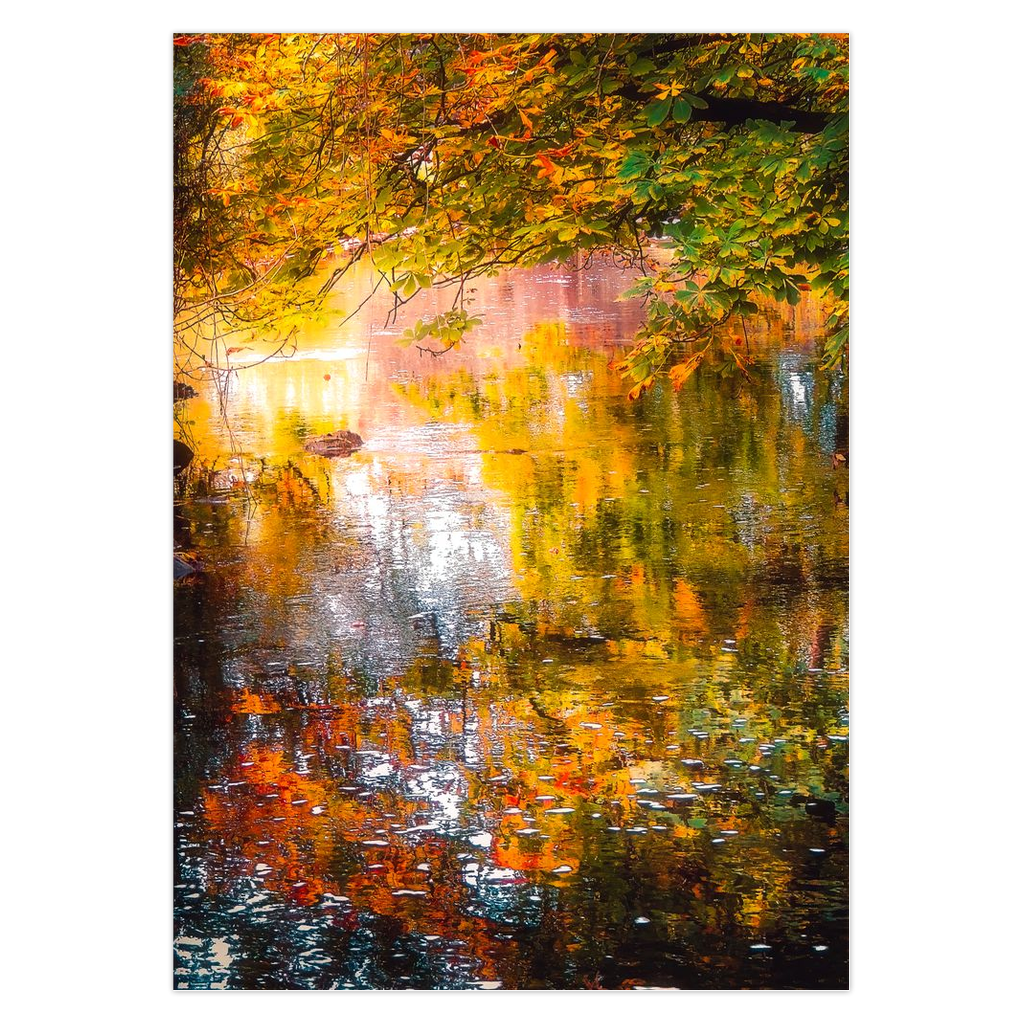 Magical Irish Autumn Note Card Bundle (10 cards)