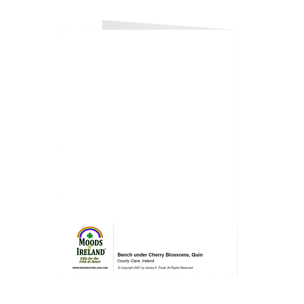 Irish Landscapes Note Card Bundle (10 cards)