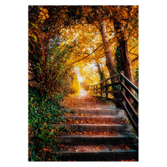 Folded Note Card - Autumn Path at Ennistymon Cascades, County Clare