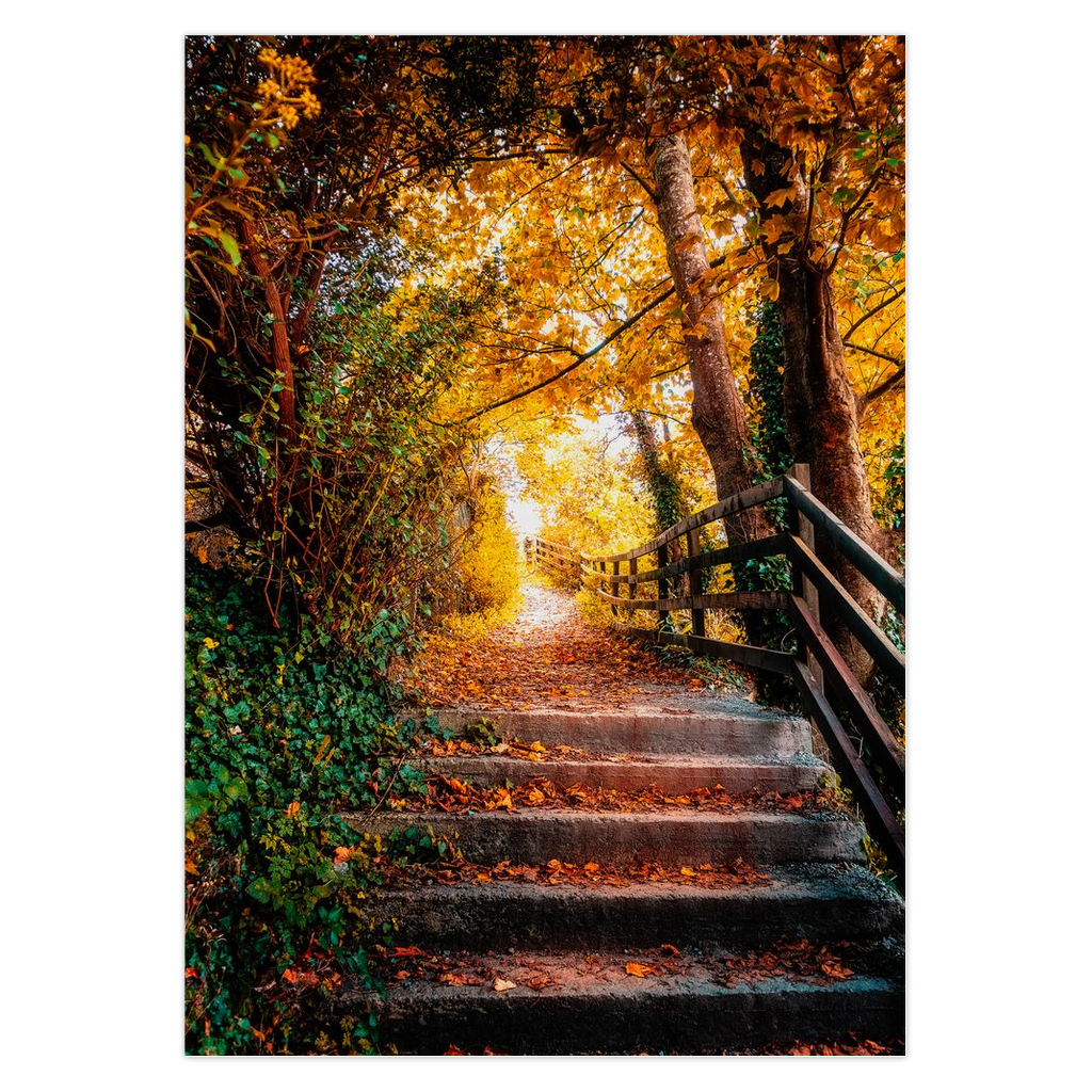 Magical Irish Autumn Note Card Bundle (10 cards)