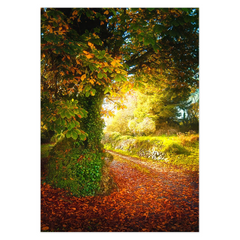 Magical Irish Autumn Note Card Bundle (10 cards)
