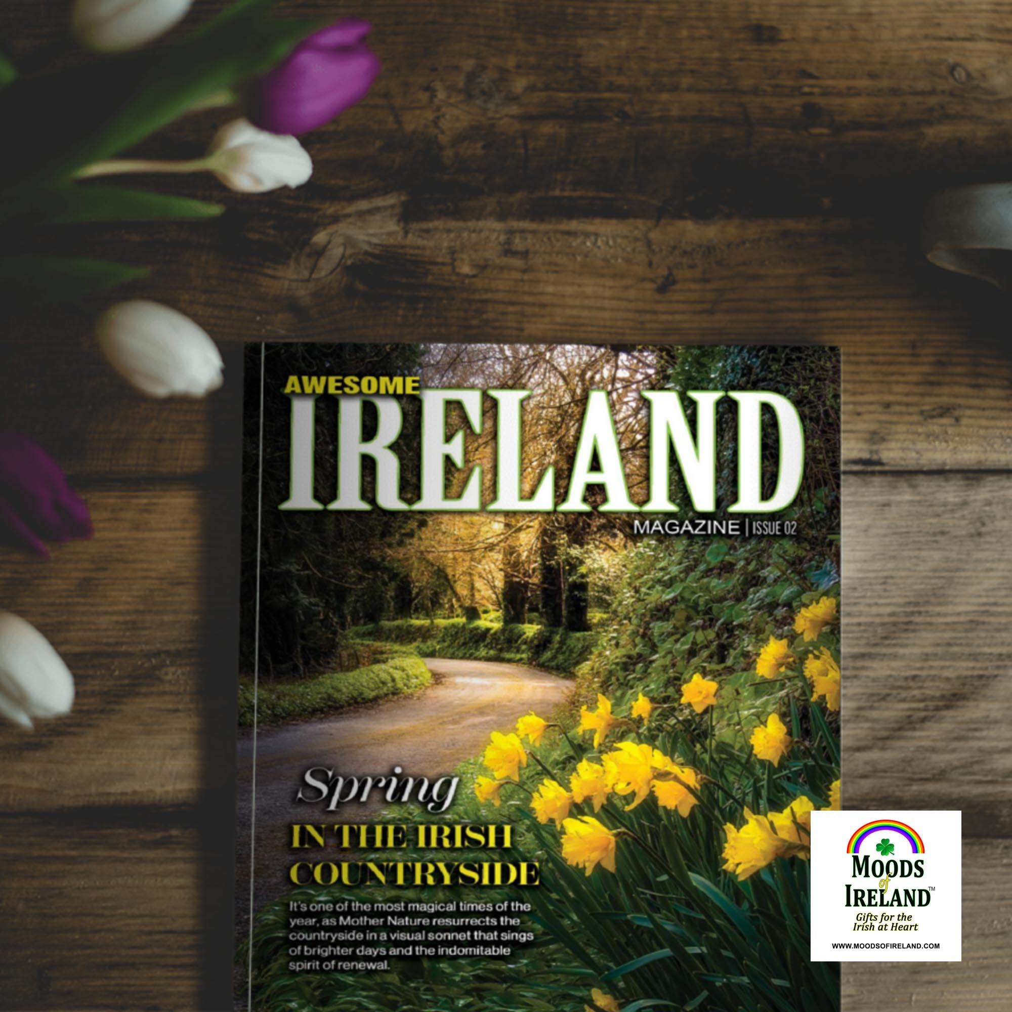 Awesome Ireland, No. 2 - Spring in the Irish Countryside