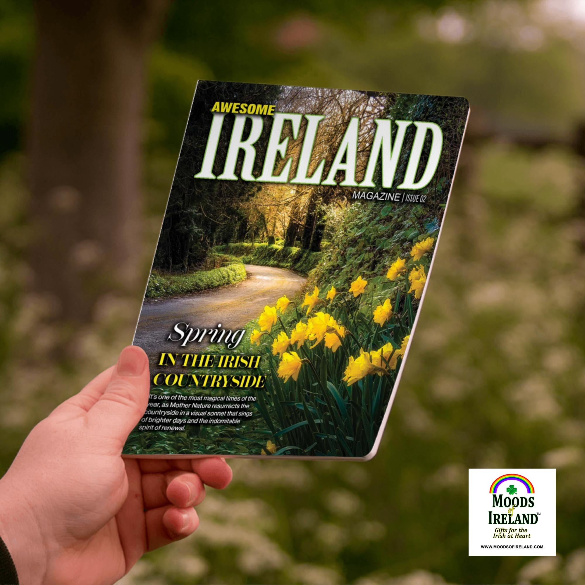 Awesome Ireland, No. 2 - Spring in the Irish Countryside