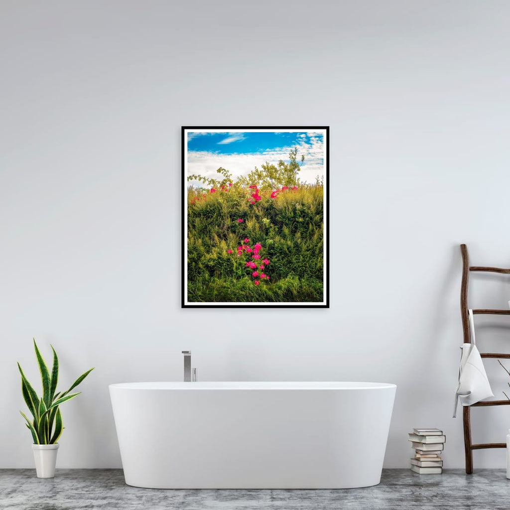 Nature's Summer Tapestry (Limited Edition)