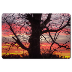 Desk Mat - Irish Sunrise and Hibernating Tree - James A. Truett - Moods of Ireland - Irish Art