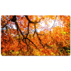 Desk Mat - Under the Autograph Tree at Coole Park, County Galway - James A. Truett - Moods of Ireland - Irish Art